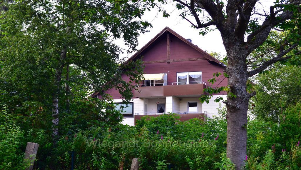 Sonnenglueck Mit Schwimmbad Apartment Braunlage Ruang foto
